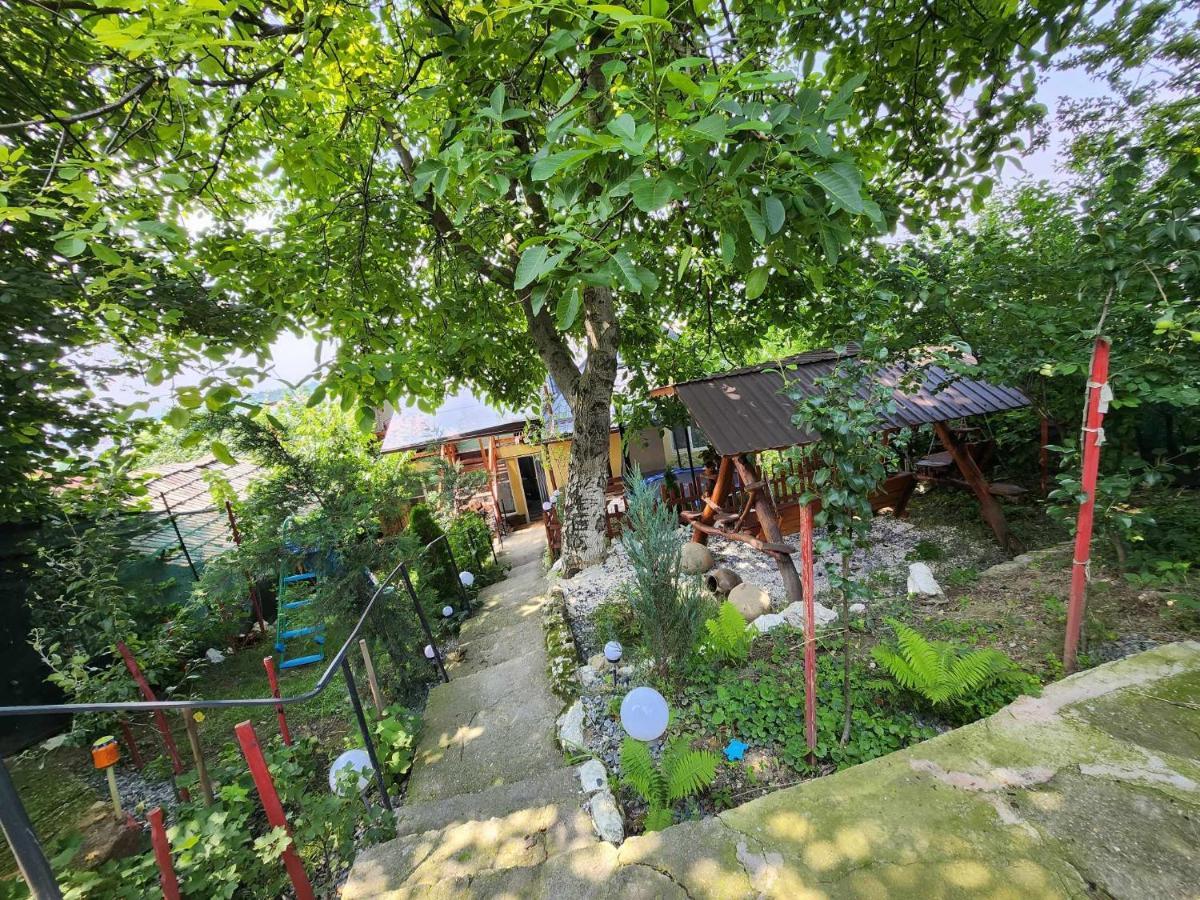 图尔达 Casa Rool酒店 外观 照片